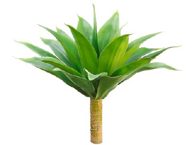 19" Faux Green Frosted Artificial Agave Succulent Spray