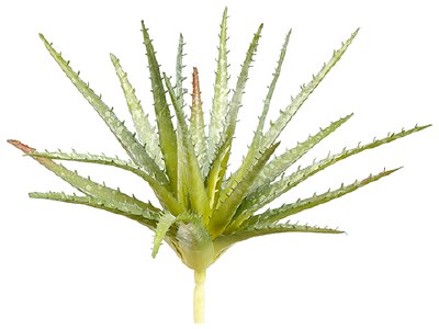 10" Faux Green Soft Artificial Aloe Succulent Spray