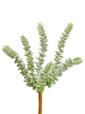 9" Faux Green and Gray Artificial Donkey Tail Succulent Spray