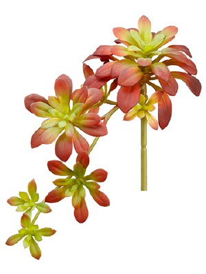 12" Faux Green and Burgundy Soft Artificial Aeonium Succulent Spray
