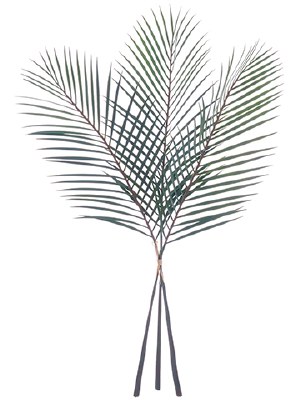 40" Set of 3 Green Artificial Palm Fronds