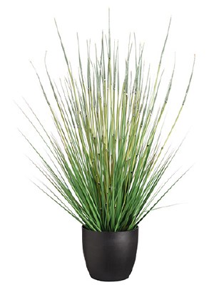 34" Faux Green Artificial Horsetail Grass in Black Pot