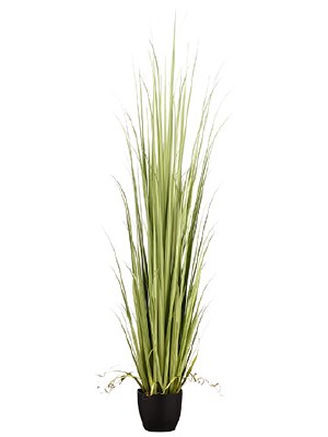 84" Light Green Artificial Reed Grass in Black Pot