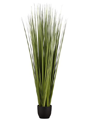 66" Dark Green Artificial Reed Grass in Black Pot