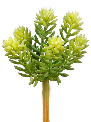 7" Faux Light Green Artificial Soft Sedum Spray