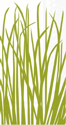 9" x 5" Green Seagrass on White Guest Towels