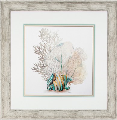 32" Square Blue Coral Study 2 Framed Print Under Glass