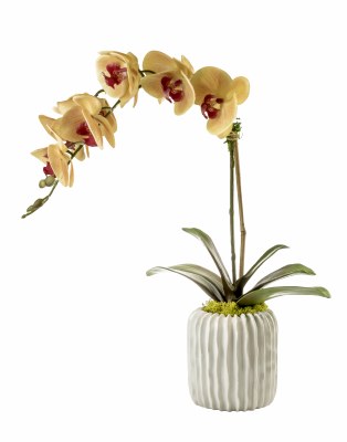 20" Faux Orange Orchid in White Ribbed Pot
