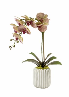21" Faux Pink Striped Orchid in White Ribbed Pot