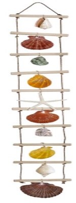 31" Multicolor Shell Ladder