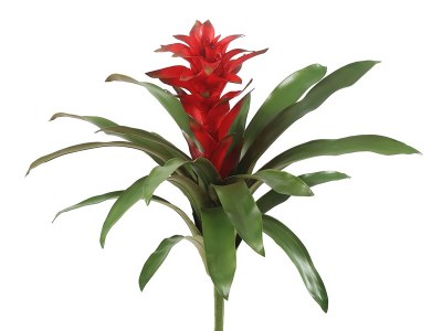 22" Red Faux Star Bromeliad Plant