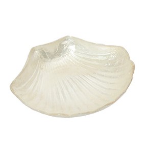 5" White Capiz Scallop Dish