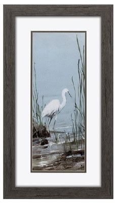 27" x 15" White Egret Between Reeds Framed Print Under Glass