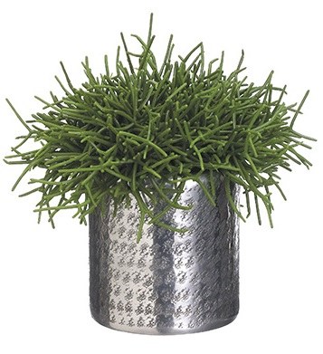15" Faux Green Pencil Cactus in Silver Pot