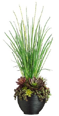 41" Faux Green Reeds and Burgundy Succulents in Black Pot