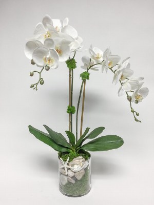 24" Faux Two White Orchids with Starfish in Glass Vase