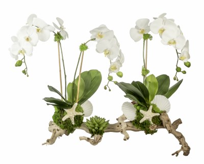 22" Faux Three White Orchids and Succulents on Driftwood