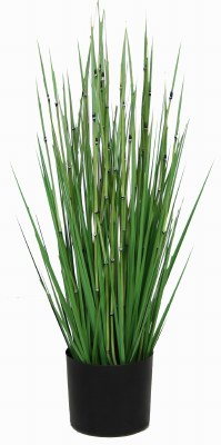 30" Potted Faux Green Horsetail Grass