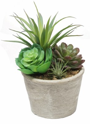 8" Faux Mixed Succulents in Gray Pot