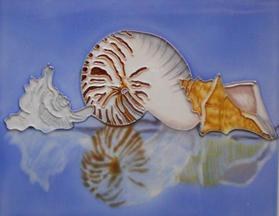 8" x 10" Shell Ceramic Tile