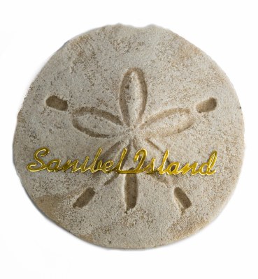 3" Sanibel Island Sand Dollar Magnet
