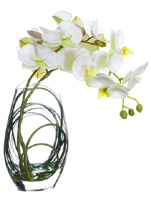 11" Faux White Orchid in Glass Vase
