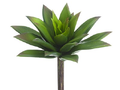 6" Faux Green Succulent