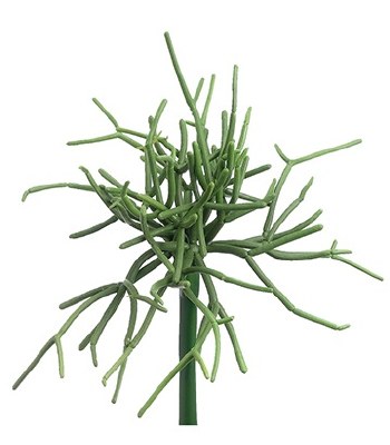 8" Faux Green Pencil Cactus