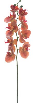 30" Faux Coral Phalaenopsis Orchid Spray