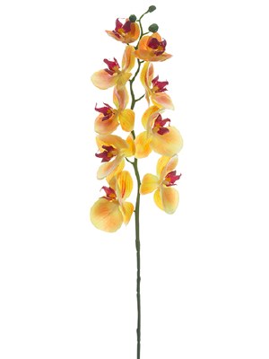 30" Faux Apricot Phalaenopsis Orchid Spray