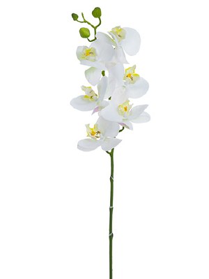 30" Faux White Phalaenopsis Orchid Spray