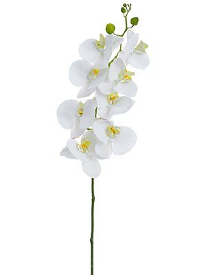 41" Faux White Phalaenopsis Spray