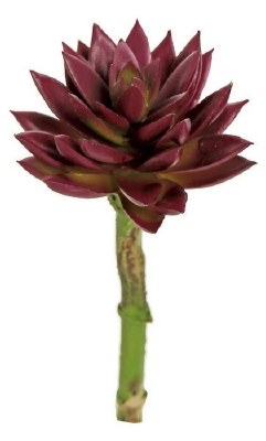 7" Faux Burgundy Sharp Leaf Succulent