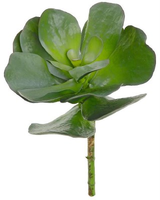 14" Faux Sage Paddle Leaf Succulent