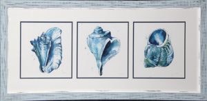 21" x 47" Three Blue Shell Icons Framed Under Glass