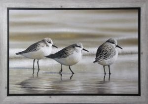 40" x 62" Three Sandpipers Textured Gel Framed