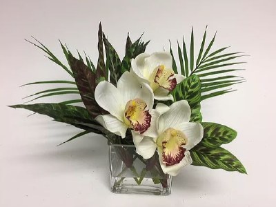 16" Faux White Orchid and Palm Fronds with Square Glass Vase