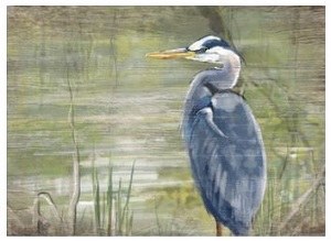 18" x 24" Blue Heron in Marsh Wall Plaque
