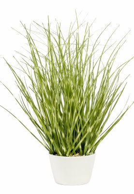 12" Faux Green Spotted Grass in White Pot