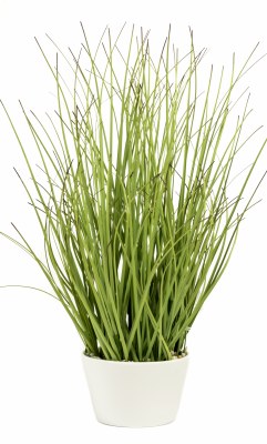 12" Faux Green Grass with Dark Tips in White Pot