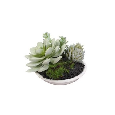 4" Green Frosted Faux Succulents in Low White Pot