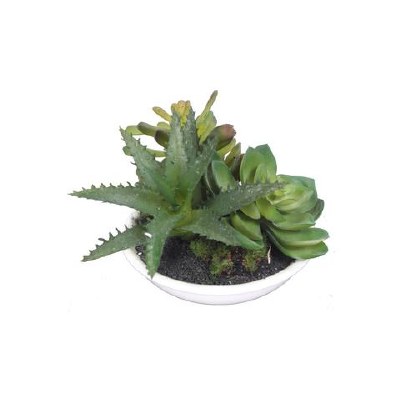 4" Green Faux Aloe and Succulents in Low White Pot