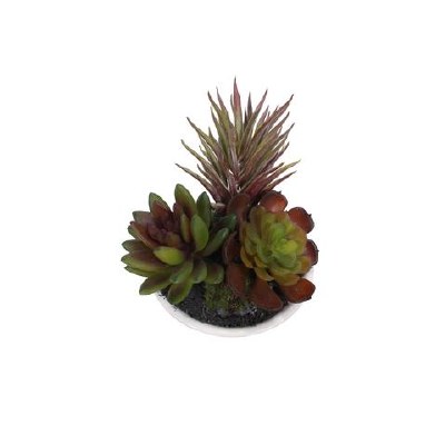 4" Green and Burgundy Faux Succulents in Low White Pot