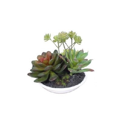 4" Mixed Faux Succulents in Low White Pot