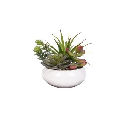 5" Mixed Faux Succulents in White Pot