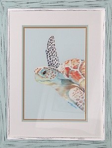 25" x 21" Aqua Framed Sea Turtle Print 1 Under Glass
