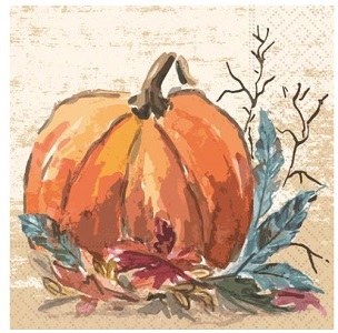 5" Square Pumpkin Harvest Paper Beverage Napkins Fall and Thanksgiving