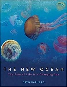 New Ocean Children's Book