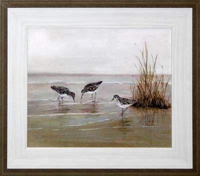 23" x 27" Three Sandpipers on Shore Gel Framed Print