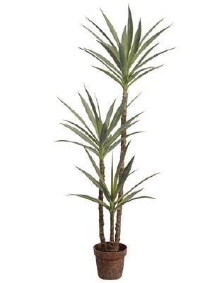 59" Faux Green Yucca Tree in a Plastic Pot